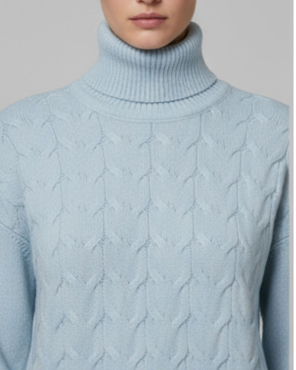 Basic Knitted Turtle Neck